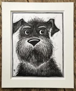 Rufus