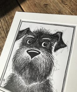 Rufus