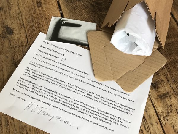 Packaging and CoA